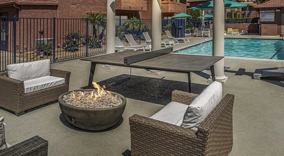Summer meadows pet spa outlet
